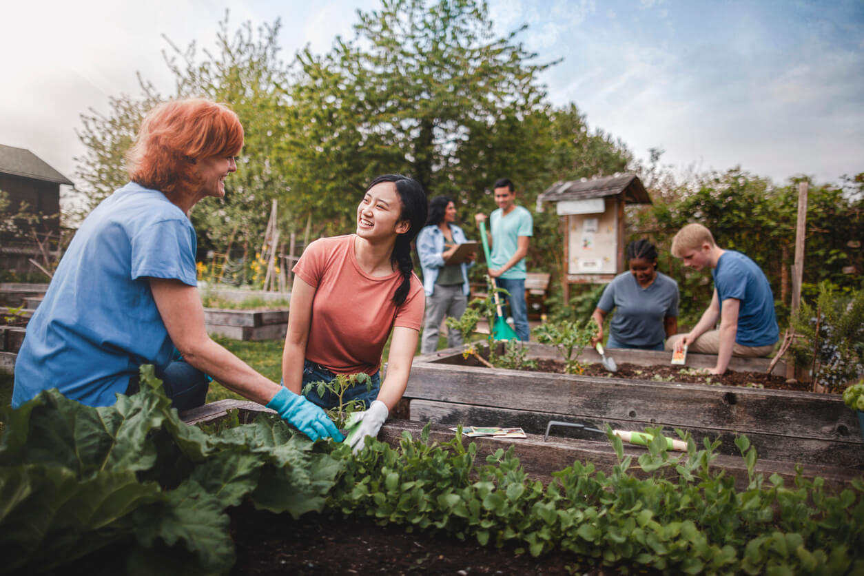 two people working in a garden